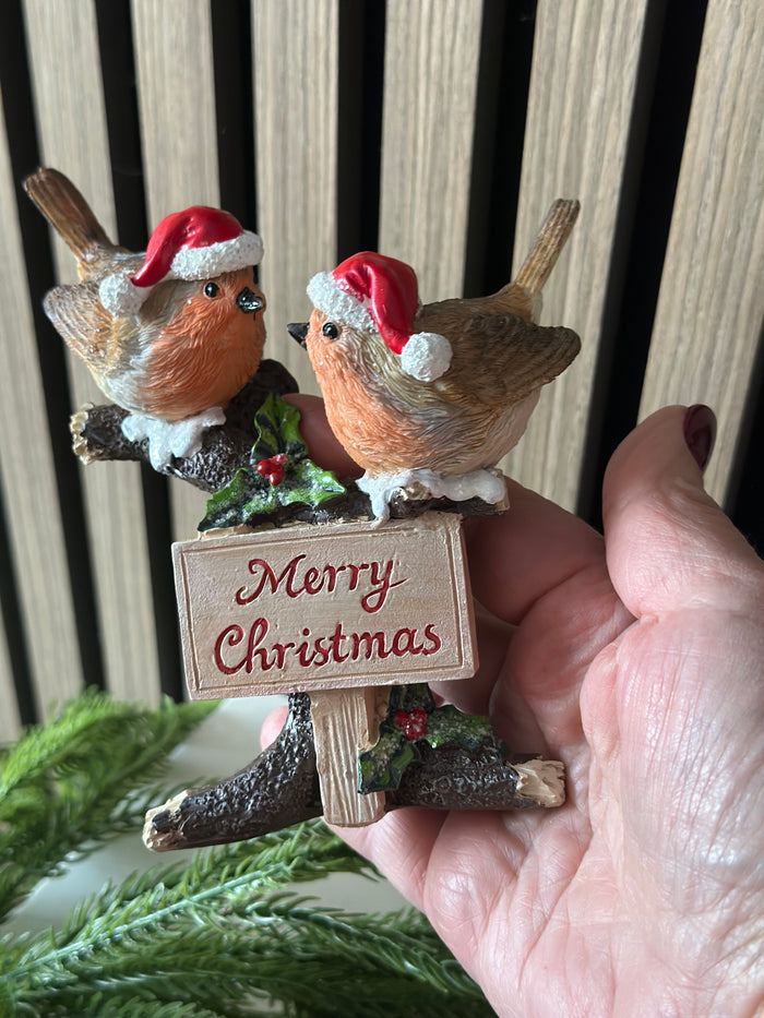 Merry Christmas Robin