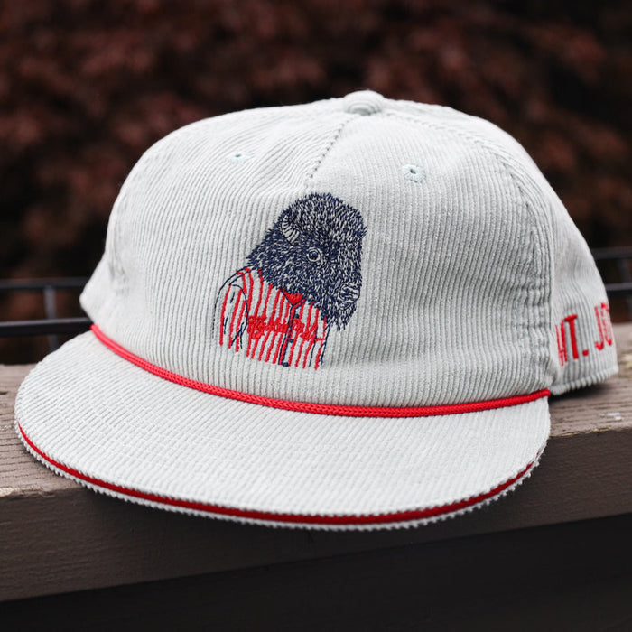 [ mt. joy x fightin phils ] grey cord - Official League