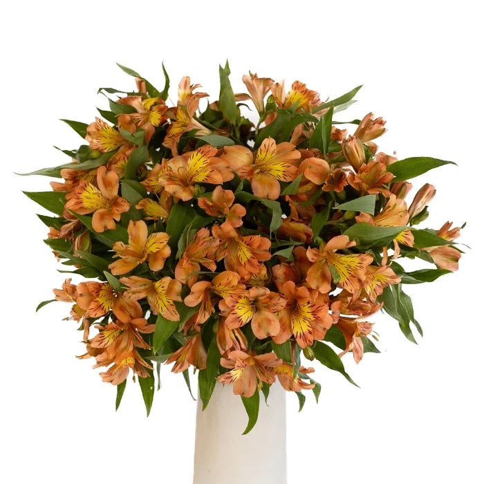 Orange Alstroemeria Fresh Flower Vase - Image
