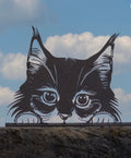 Peeking Cat