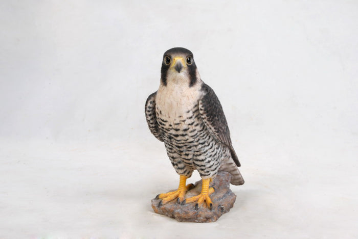 Peregrine Falcon Hi-Line Gift Ltd.