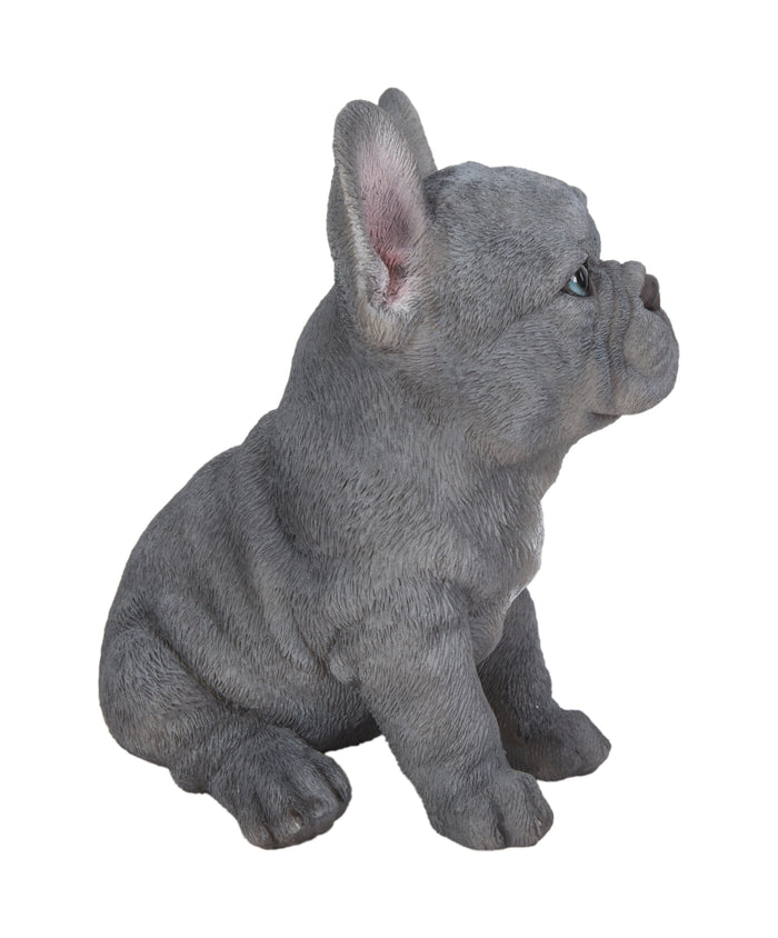 Pet Pals - Blue French bulldog puppy Statue HI-LINE GIFT LTD.