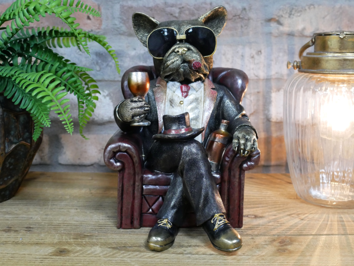 Quirky Dog  In A Chair