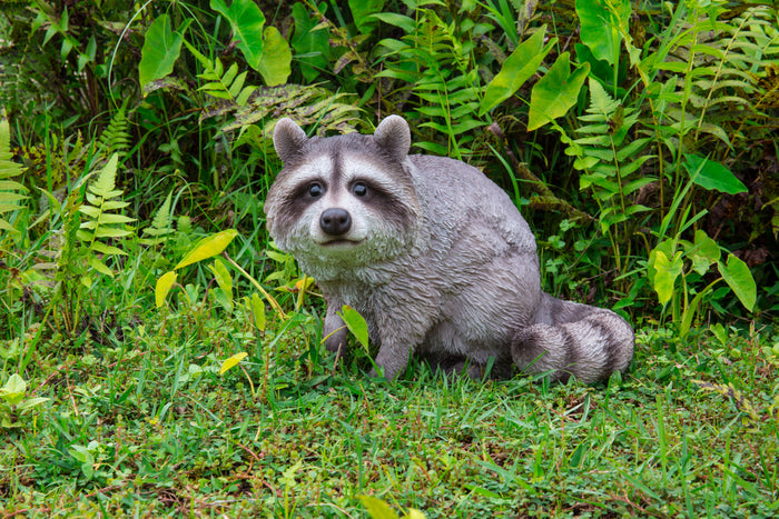 Racoon Standing Statue HI-LINE GIFT LTD.