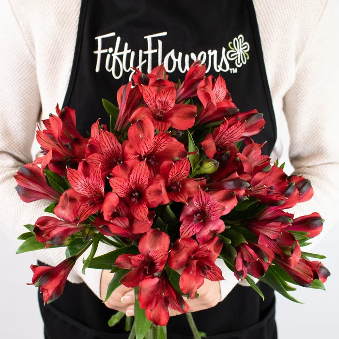 Red Alstroemeria Flower Bunch in Hand
