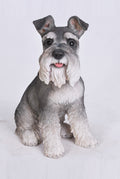 Schnauzer Statue HI-LINE GIFT LTD.
