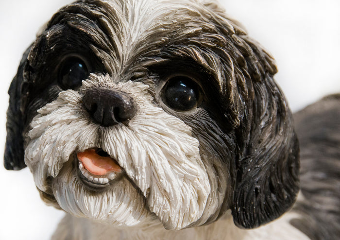 Shih Tzu Lying Down - Black/White HI-LINE GIFT LTD.