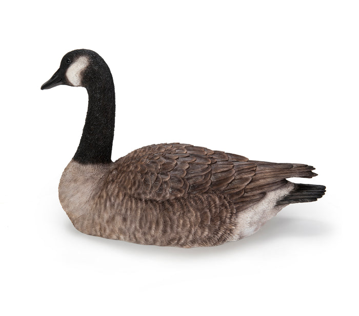 Sitting Canadian Goose Garden Statue HI-LINE GIFT LTD.