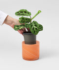 Small Spiral Glass Planter Orange