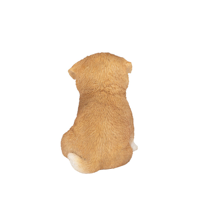 SOREAL Brown Akita Hi-Line Gift Ltd.
