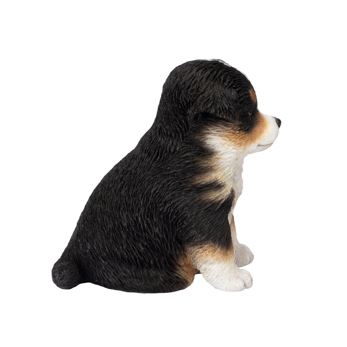 87624-08-soreal-white-and-brown-australian-shepherd Hi-Line Gift Ltd.