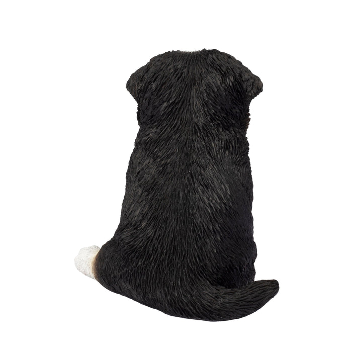 87624-08-soreal-white-and-brown-australian-shepherd Hi-Line Gift Ltd.