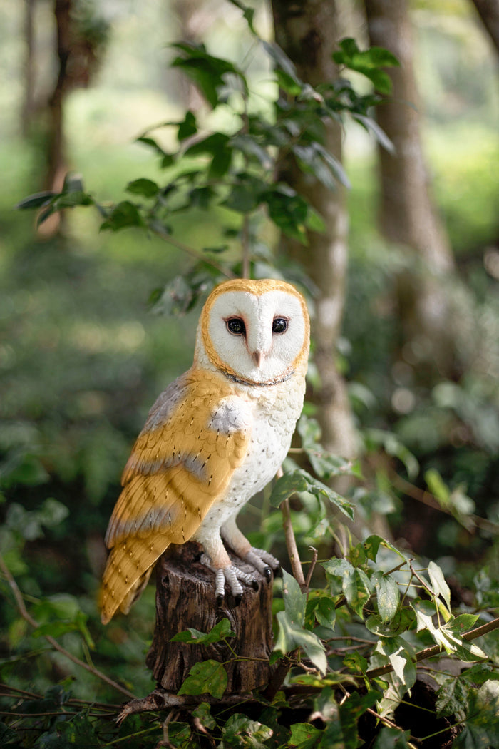 87623-A-soreal-yellow-barn-owl-on-branch Hi-Line Gift Ltd.