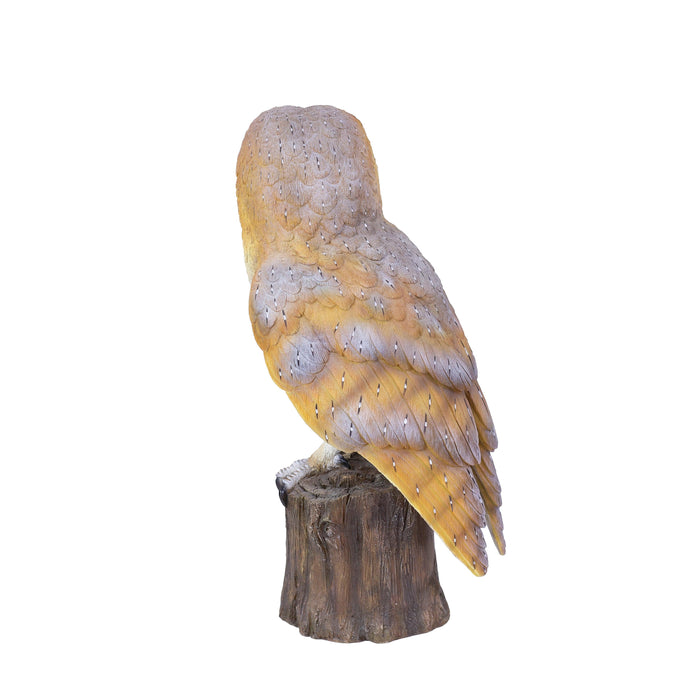 87623-A-soreal-yellow-barn-owl-on-branch Hi-Line Gift Ltd.