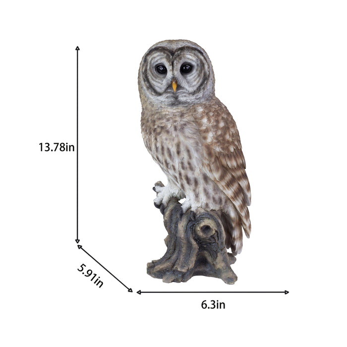 SOREAL Brown Barred Owl on branch Hi-Line Gift Ltd.