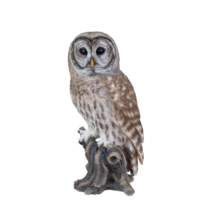 SOREAL Brown Barred Owl on branch Hi-Line Gift Ltd.
