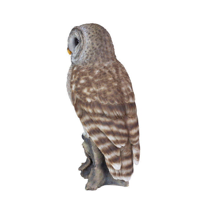 SOREAL Brown Barred Owl on branch Hi-Line Gift Ltd.