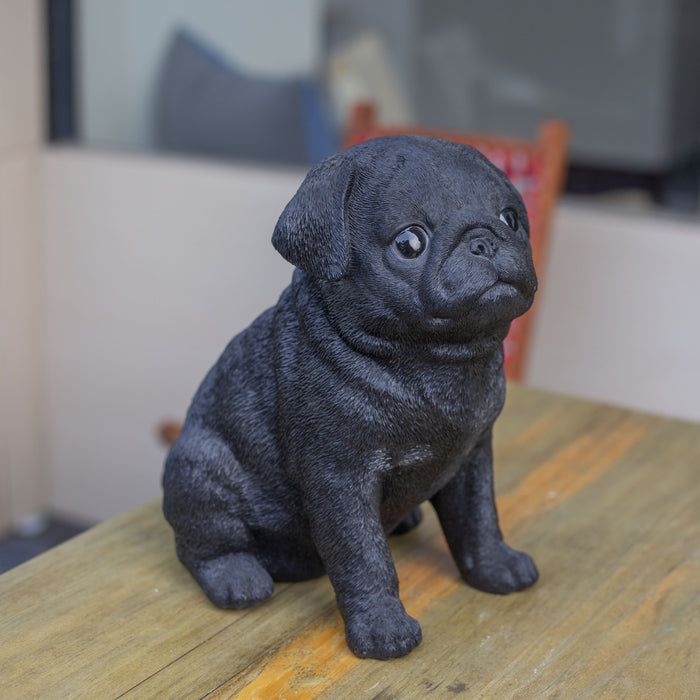 SOREAL Black Baby Pug Hi-Line Gift Ltd.