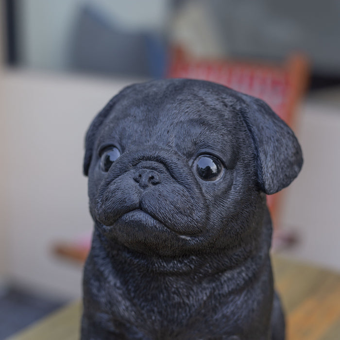 SOREAL Black Baby Pug Hi-Line Gift Ltd.