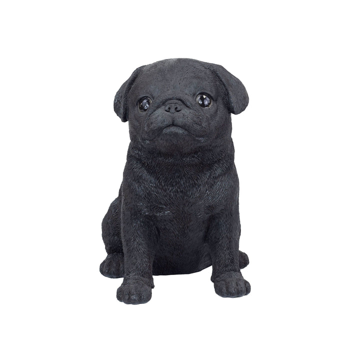 SOREAL Black Baby Pug Hi-Line Gift Ltd.