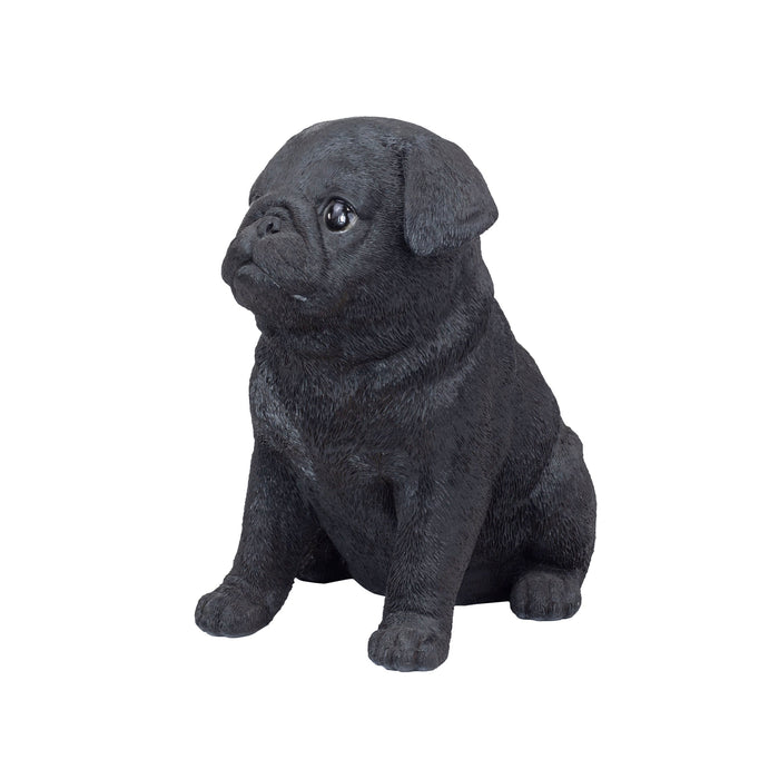 SOREAL Black Baby Pug Hi-Line Gift Ltd.