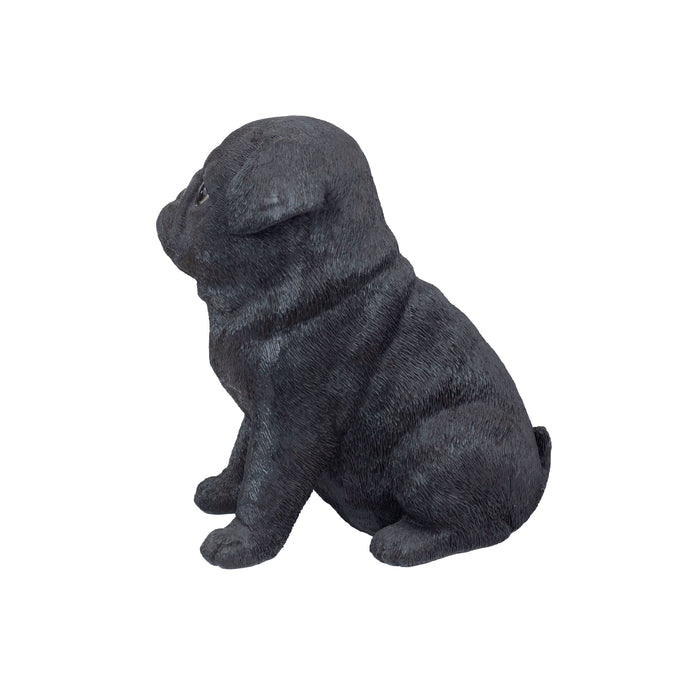 SOREAL Black Baby Pug Hi-Line Gift Ltd.