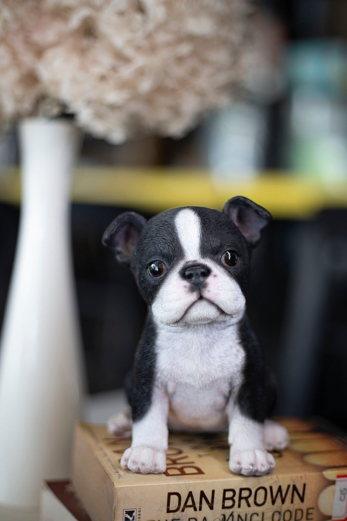 87624-04-soreal-white-and-black-boston-terrier Hi-Line Gift Ltd.