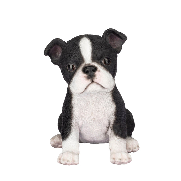 87624-04-soreal-white-and-black-boston-terrier Hi-Line Gift Ltd.