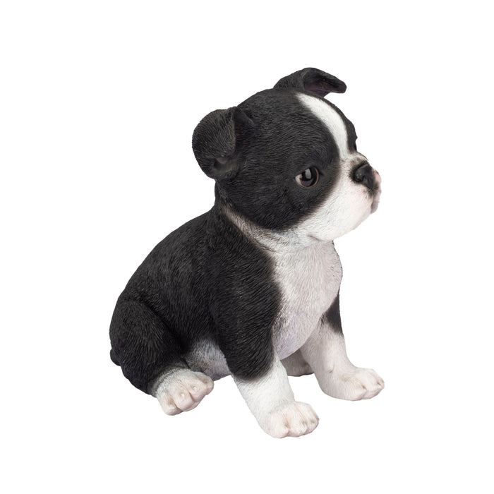 87624-04-soreal-white-and-black-boston-terrier Hi-Line Gift Ltd.