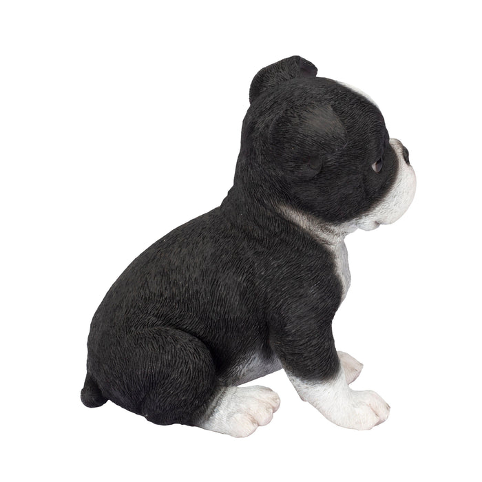 87624-04-soreal-white-and-black-boston-terrier Hi-Line Gift Ltd.