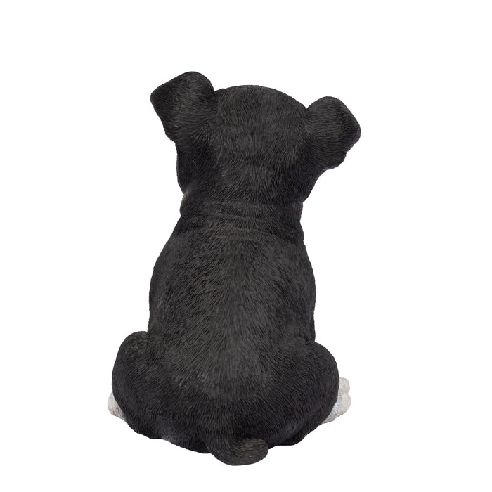 87624-04-soreal-white-and-black-boston-terrier Hi-Line Gift Ltd.