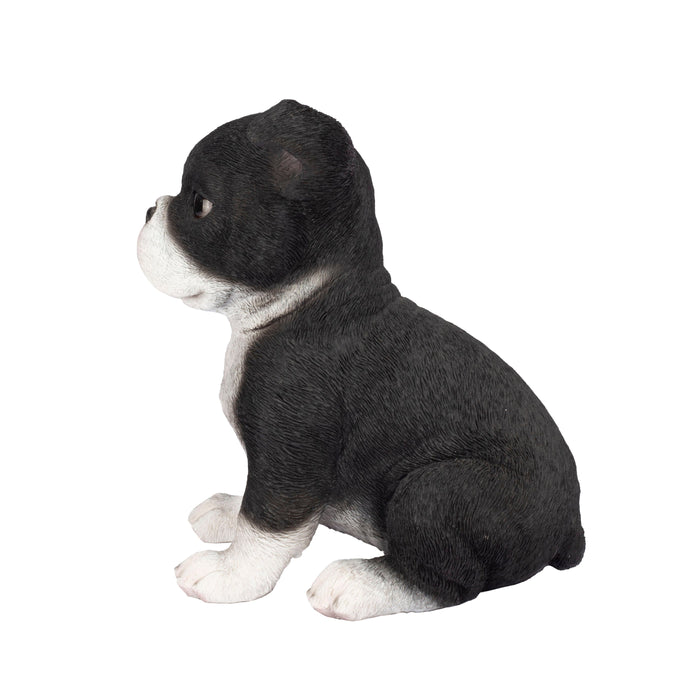 87624-04-soreal-white-and-black-boston-terrier Hi-Line Gift Ltd.