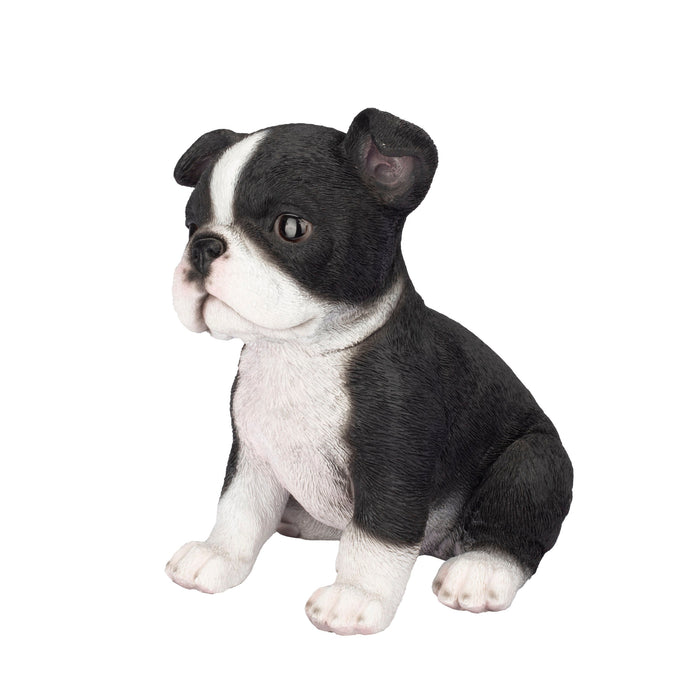 87624-04-soreal-white-and-black-boston-terrier Hi-Line Gift Ltd.