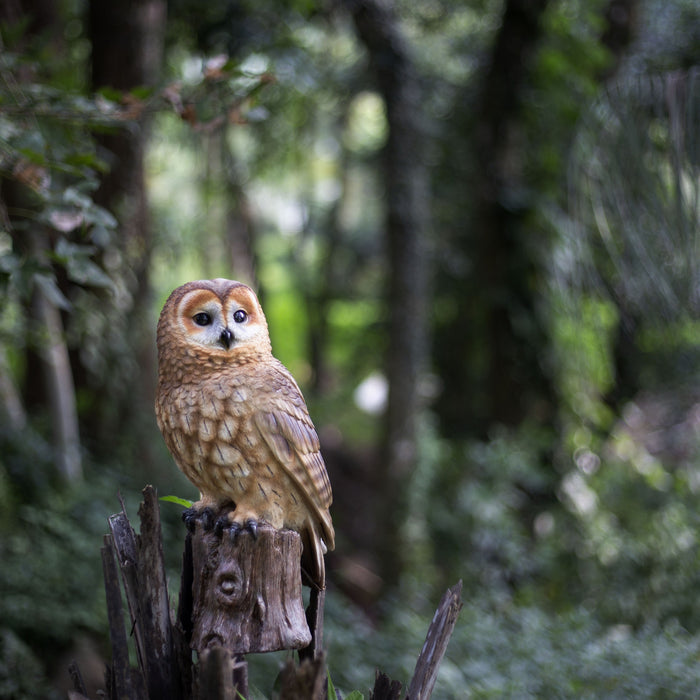 SOREAL Brown Owl on branch Hi-Line Gift Ltd.