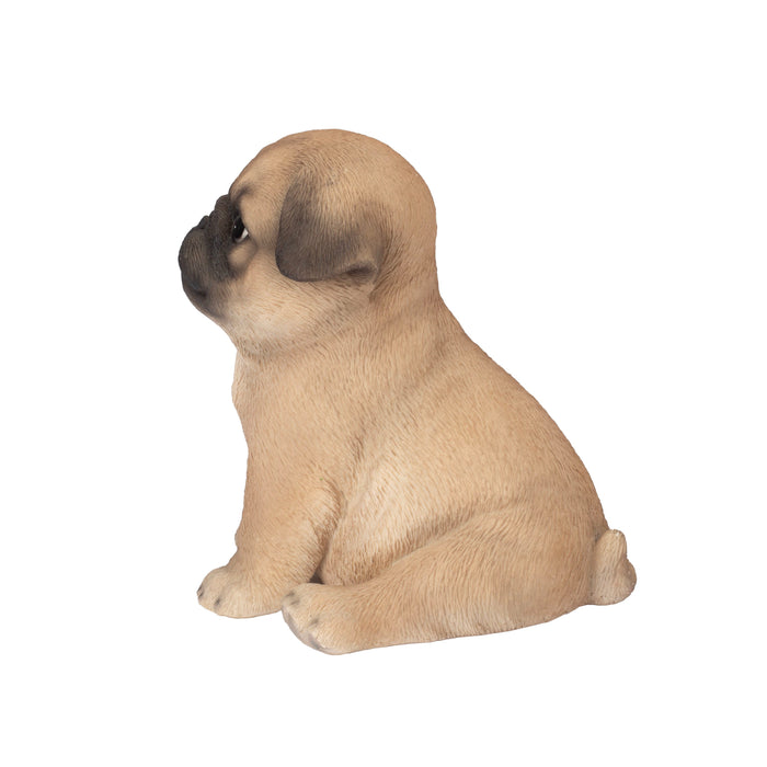 SOREAL Brown Baby Pug Hi-Line Gift Ltd.