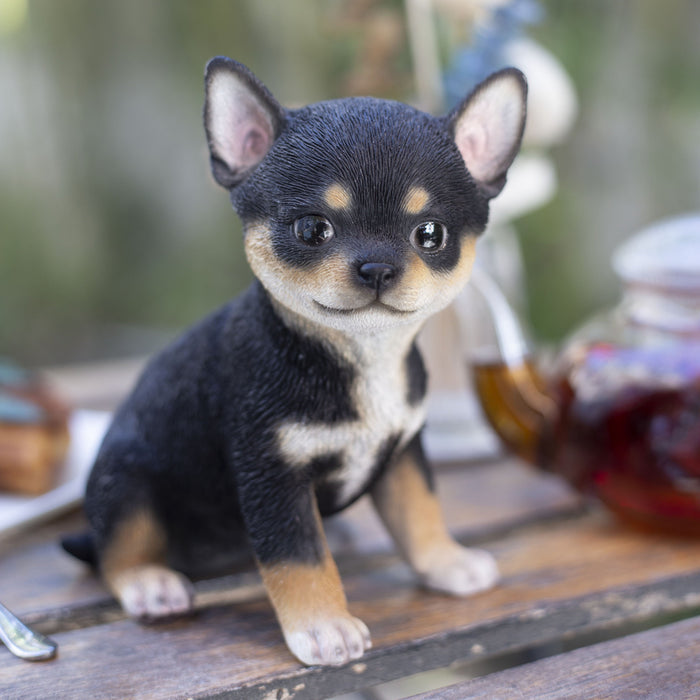 SOREAL Black Chihuahua Hi-Line Gift Ltd.