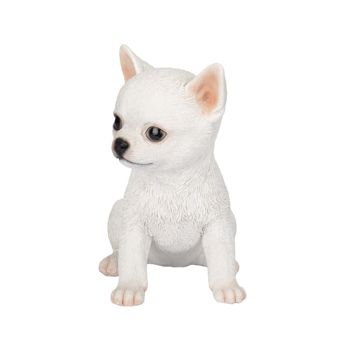 SOREAL White Chihuahua Hi-Line Gift Ltd.