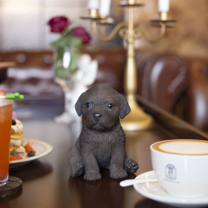 SOREAL Brown Labrador chocolate Decorative Puppy Figurine for Home & Garden Décor Hi-Line Gift Ltd.