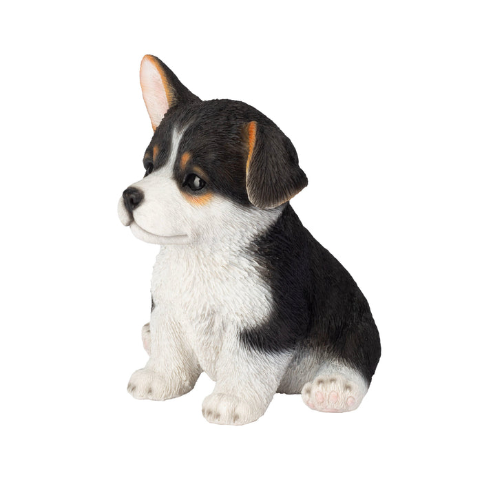 87624-32-soreal-black-and-white-corgi-decorative-puppy-figurine Hi-Line Gift Ltd.
