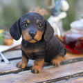 SOREAL Black Dachshund Hi-Line Gift Ltd.