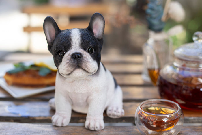 87624-29-soreal-white-and-black-french-bulldog-decorative-puppy-figurine Hi-Line Gift Ltd.