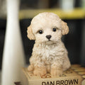 SOREAL Brown Labradoodle Decorative Puppy Figurine for Home & Garden Décor Hi-Line Gift Ltd.