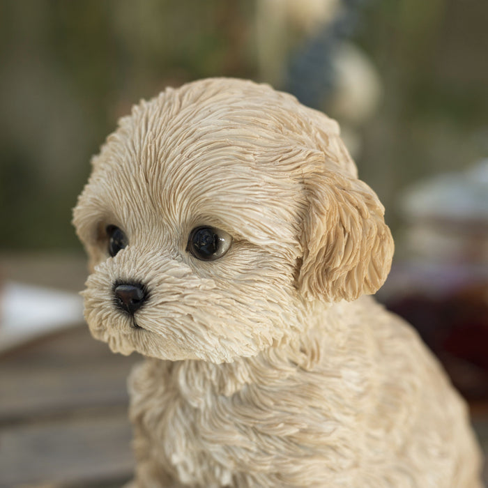 SOREAL Brown Labradoodle Decorative Puppy Figurine for Home & Garden Décor Hi-Line Gift Ltd.