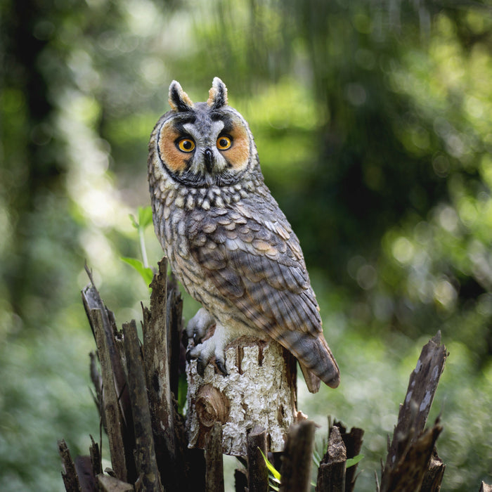 SOREAL Brown Long Eared Owl on branch Hi-Line Gift Ltd.