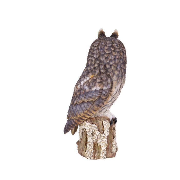 SOREAL Brown Long Eared Owl on branch Hi-Line Gift Ltd.