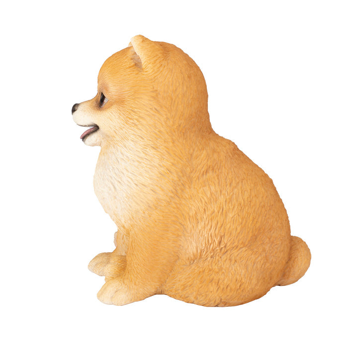 SOREAL Brown Pomeranian Hi-Line Gift Ltd.