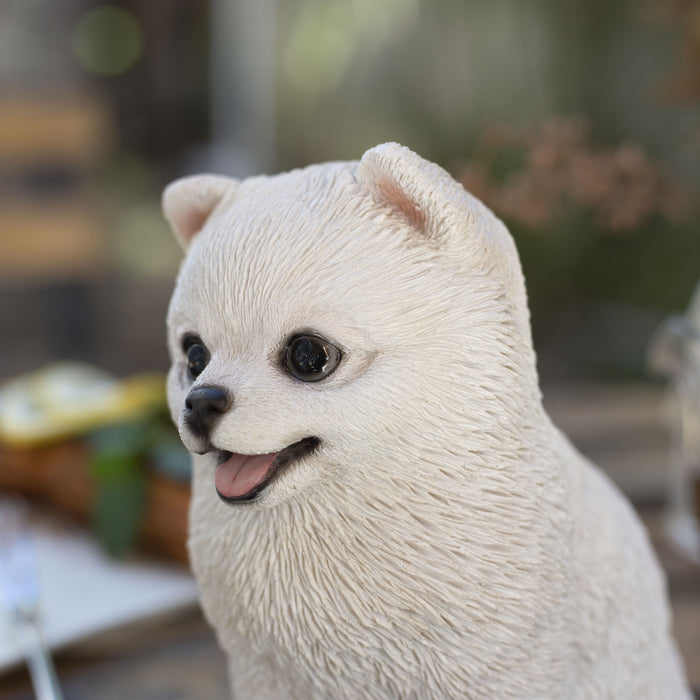 SOREAL White Pomeranian Hi-Line Gift Ltd.