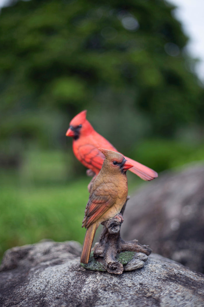87758-W-soreal-red-Cardinals-on-branch Hi-Line Gift Ltd.