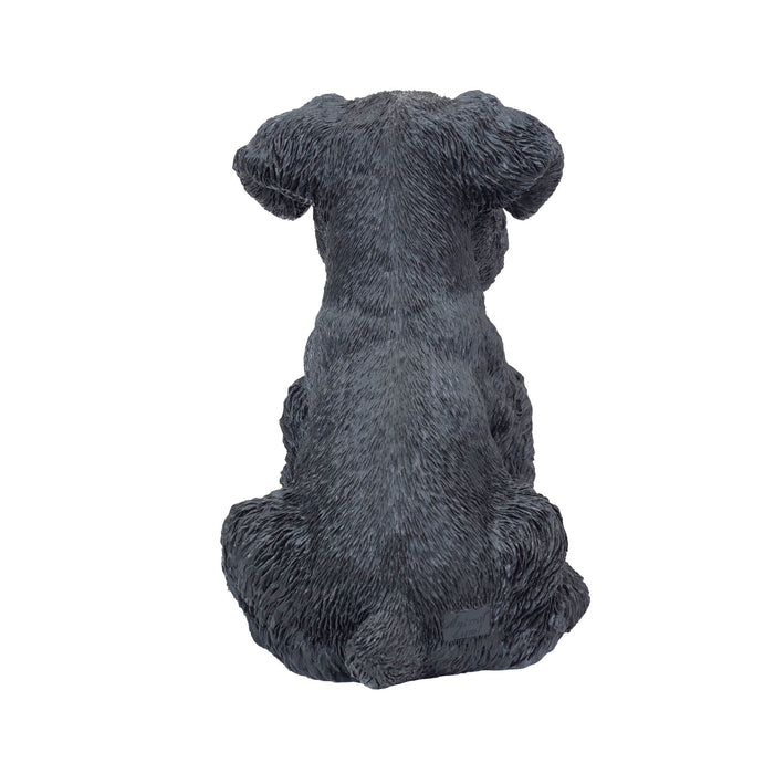 SOREAL Black Baby Schnauzer Hi-Line Gift Ltd.