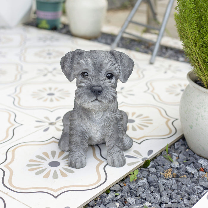 SOREAL Grey Baby Schnauzer Hi-Line Gift Ltd.